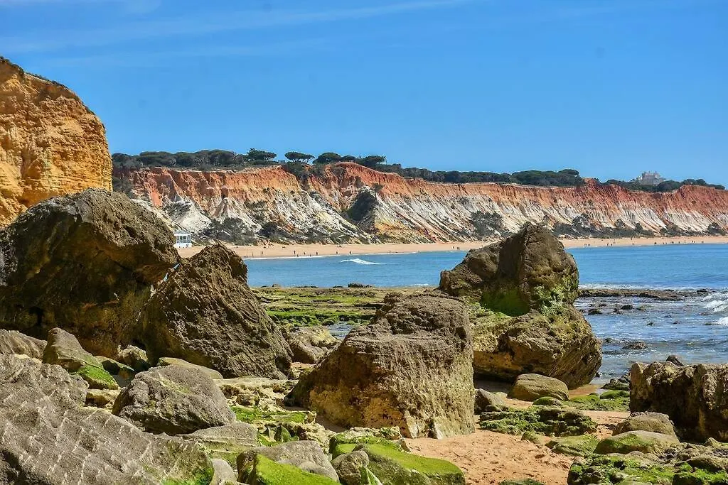 Casa Das Palmeiras - Villa Com Piscina, Bbq E Ar Condicionado Albufeira 0*,  Portugal