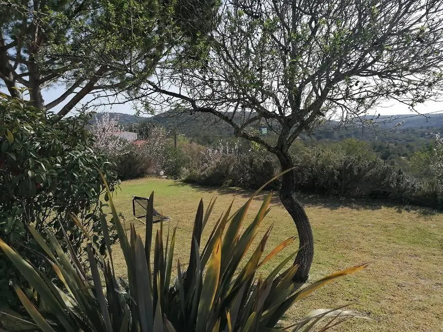 Casa Das Palmeiras - Villa Com Piscina, Bbq E Ar Condicionado Albufeira 0*,